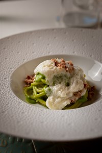 spaghettone