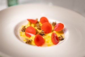tortello