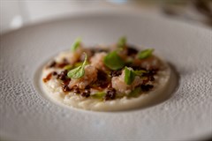 Risotto con crema di piselli, gambero rosa e caviale di olive taggiasche